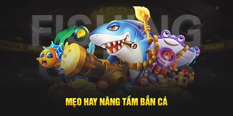 Một số lý do nên tham gia săn cá Một số lý do nên tham gia săn cá