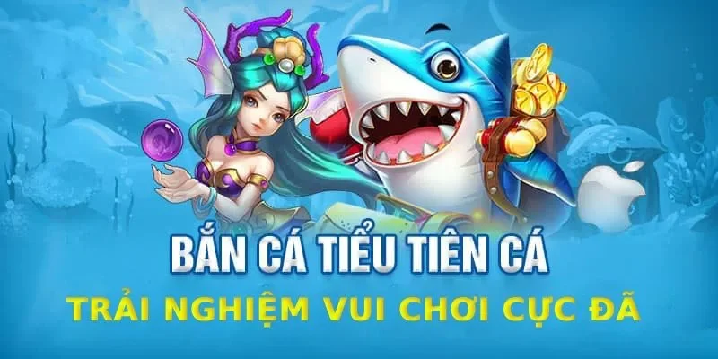 Cách chơi bắn cá tiểu tiên cho ngư thủ Cách chơi bắn cá tiểu tiên cho ngư thủ