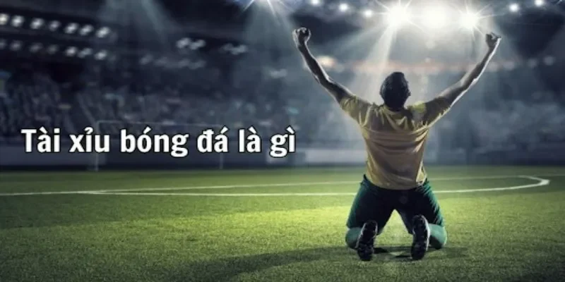 Vì sao người Việt ưa chuộng Cách Bắt Tài Xỉu Bóng Đá đến vậy? Vì sao người Việt ưa chuộng Cách Bắt Tài Xỉu Bóng Đá đến vậy?