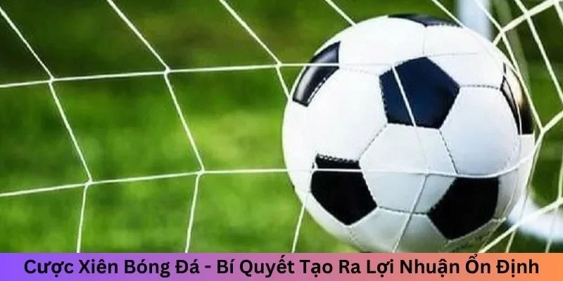 Cược xiên là gì? Cược xiên là gì?