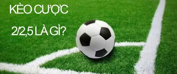 Tìm hiểu về Tài Xỉu 2-2.5 Debet là như nào? Tìm hiểu về Tài Xỉu 2-2.5 Debet là như nào?