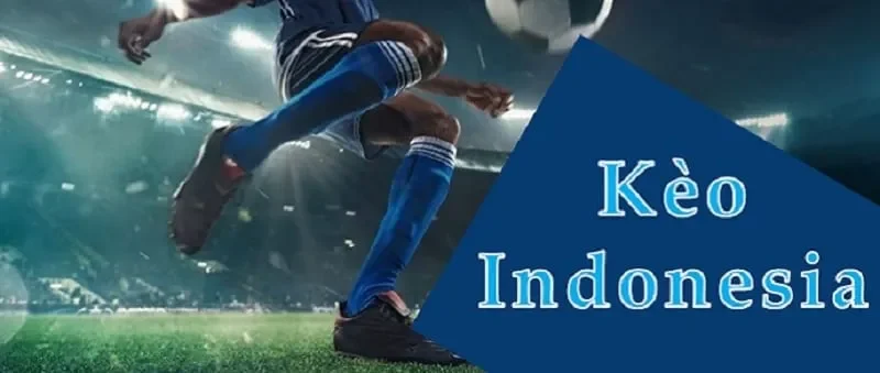Một số đặc trưng về tỷ lệ Indonesia Debet Một số đặc trưng về tỷ lệ Indonesia Debet