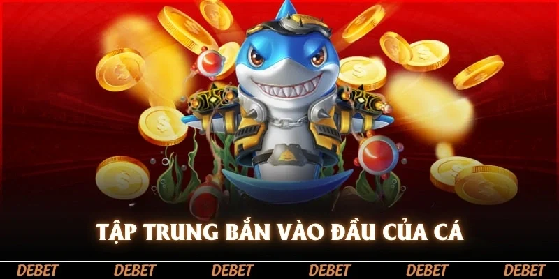 Tập trung bắn vào đầu của cá